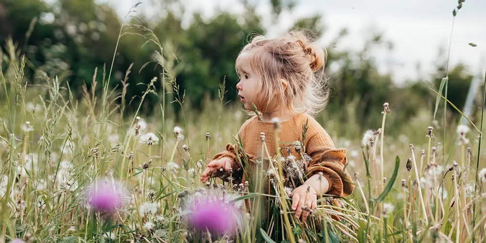 Η Bambo Nature παρουσιάζει τη νέα ανακυκλώσιμη χάρτινη συσκευασία πανών